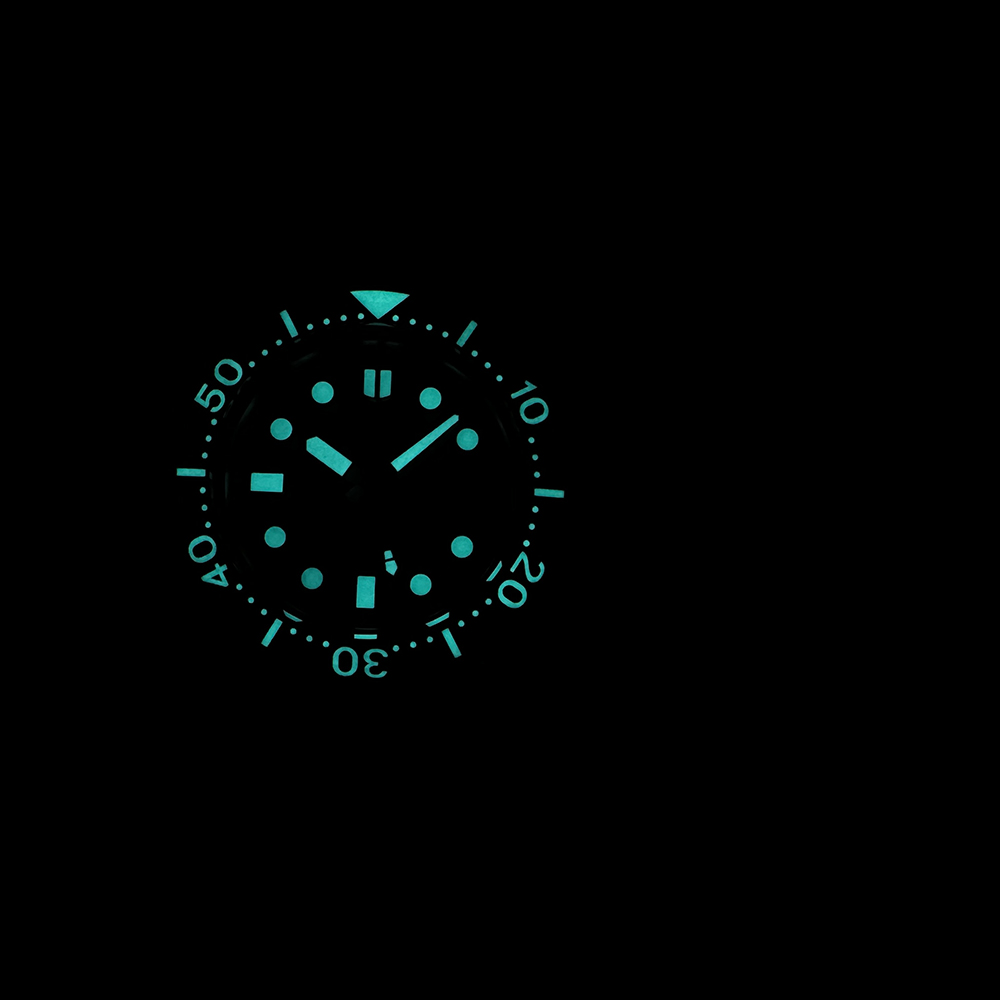 Reloj de Buceo STEELDIVE Ofici - Diver Watch 300M reseña y precio